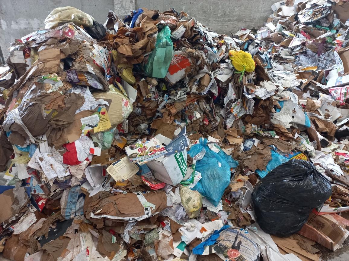 Immagine: 20230605_091513