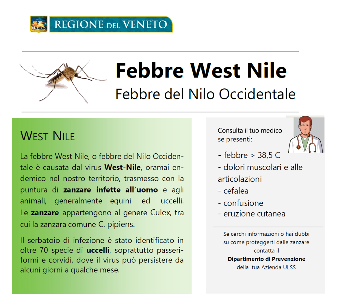 Immagine: image202208031218411