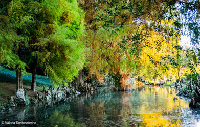 Immagine: Parco Rossi Laghetto