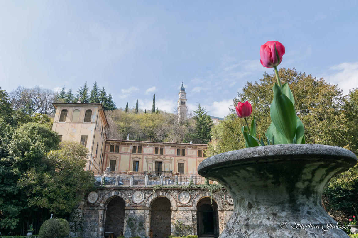 Immagine: Villa Parco Rossi