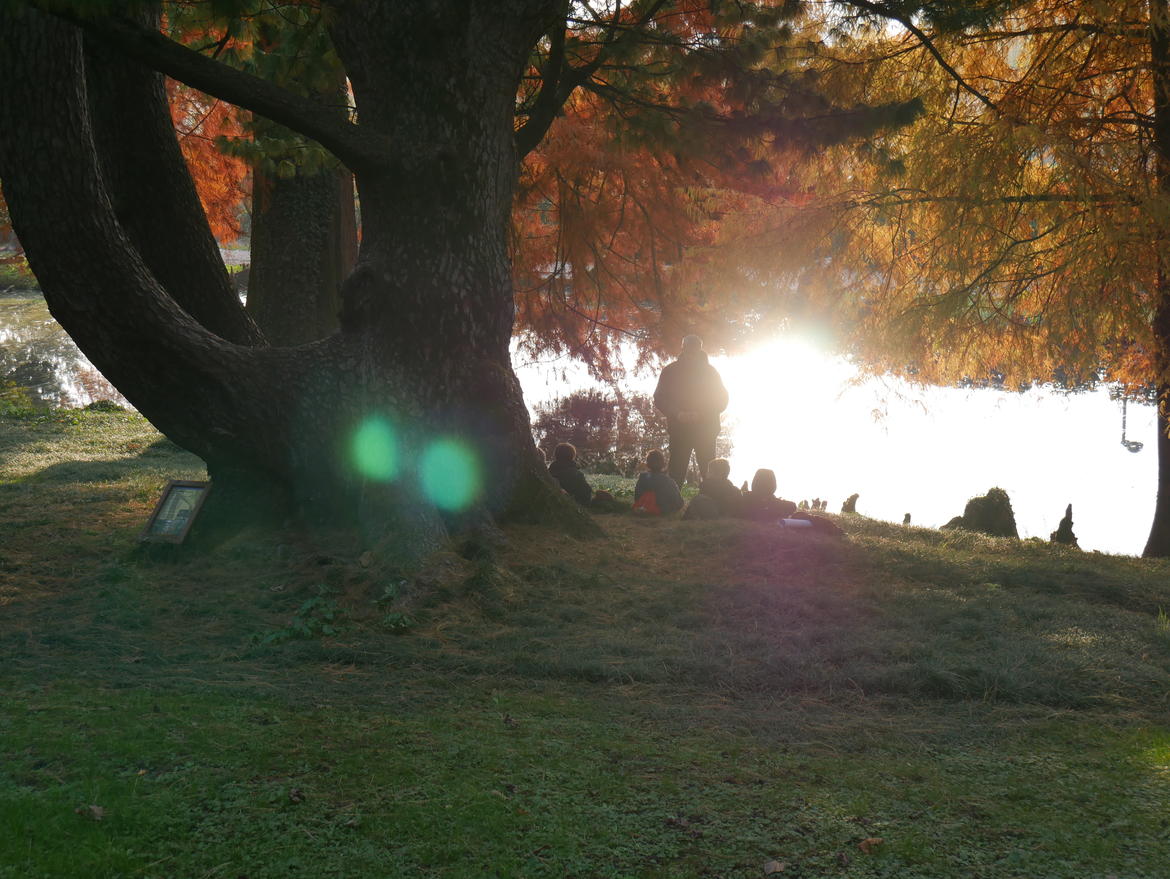 Immagine: Visita didattica parco rossi